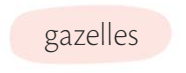 Gazelles nombre.png